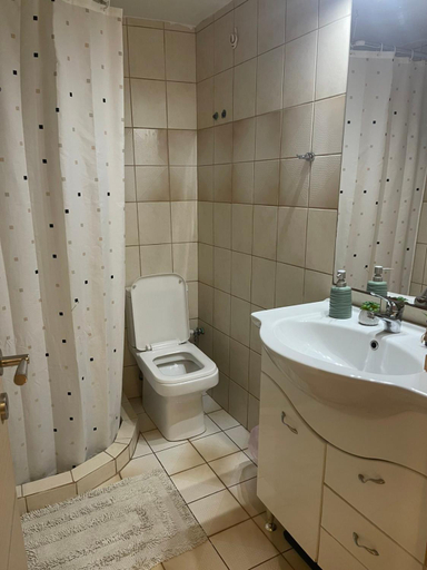 Bathroom 2, Tsoukanas Studios, Thessaly