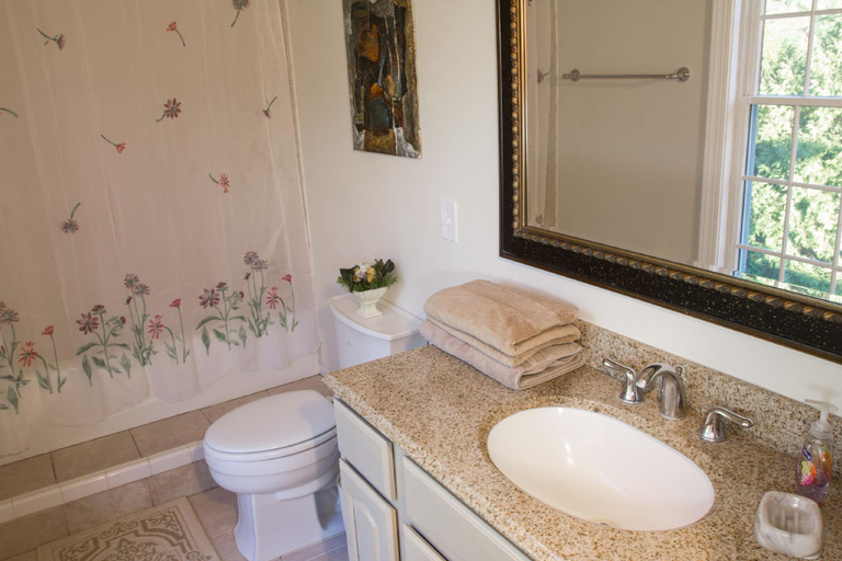 Bathroom 3, Loudoun Valley Manor B&B, Loudoun