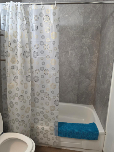 Bathroom 2, Dinosaur Hotel, Division No. 5