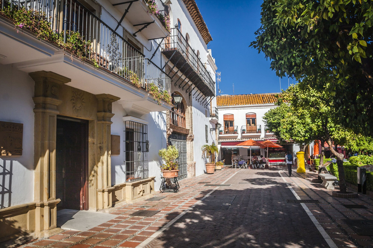 Exterior 2, Villa Caribe Playa, Málaga