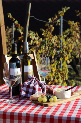 Food & Drinks 5, Moment's in Nature Vineyard Bungalows Pool & Jacuzzi, Palmela