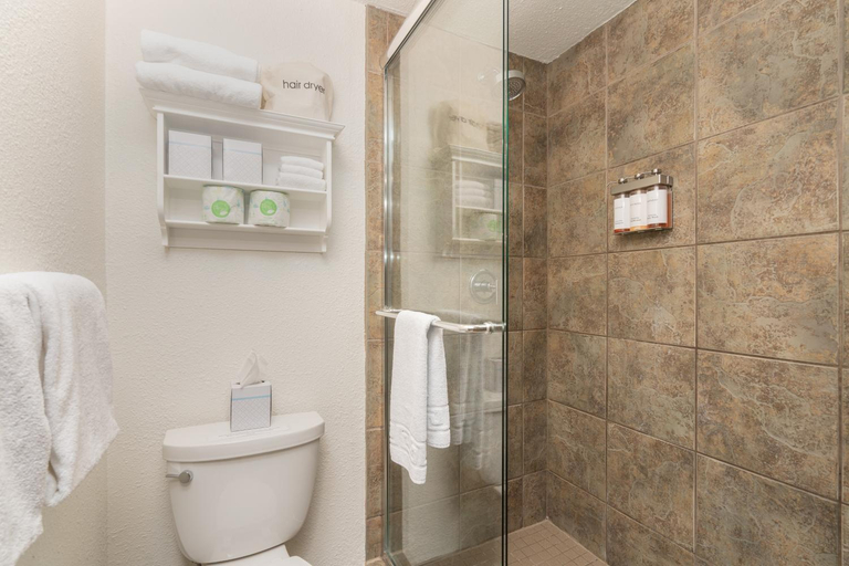 Bathroom 3, Manitou Lodge 8 by Alpine Lodging Telluride, San Miguel