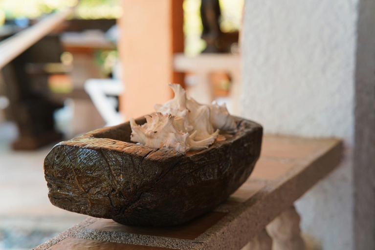 Food & Drinks 5, M Villa’s Farm Resort, Looc