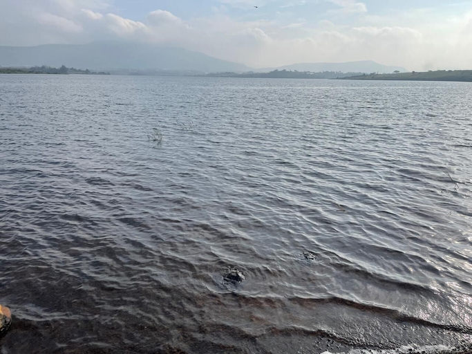 Miscellaneous, Bellajooz Lake Resort, Pune