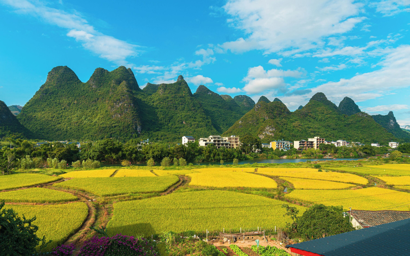View from property 5, Cindy Villa - Rice Fields & Karst Peaks at Yulong River - Infinity Pool, Guilin