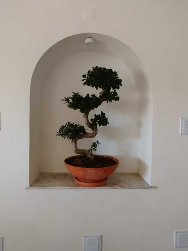 Interior, Quinta dos Pilotos, Almada