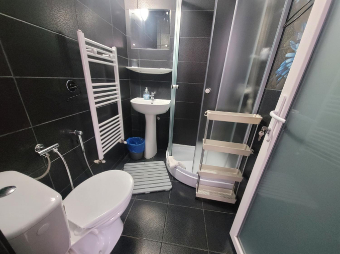 Bathroom 3, Pensiunea Trei Brazi, Targu Ocna