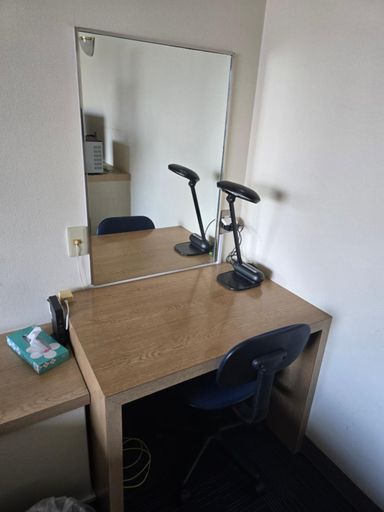 Others 4, business hotel furusatoビジネスホテルふるさと, Ureshino