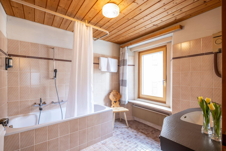 Bathroom 3, Hotel Alpina, Inn