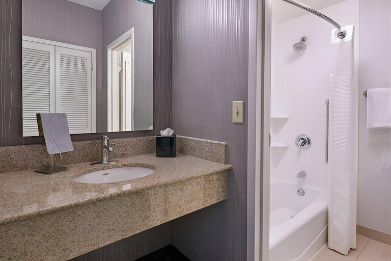 Bathroom 2, Comfort Inn & Suites Eden Prairie - Minneapolis Southwest, Hennepin