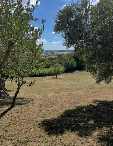 Others 4, B&B La Vera Vita, Macerata