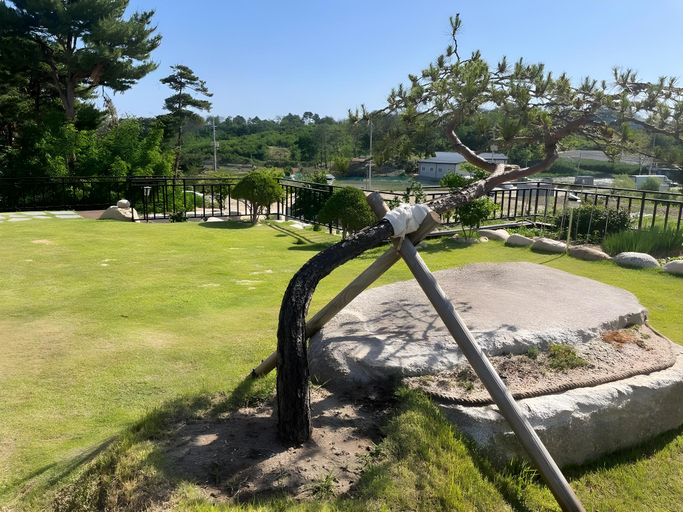Others 4, Goseung Luceluna Pension, Goseong