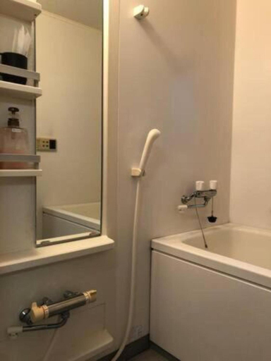 Bathroom 2, WASYUKU, Sumida