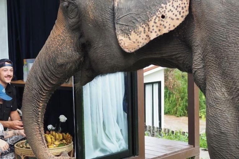 Property amenity, Elephant Regency, Mae Wang