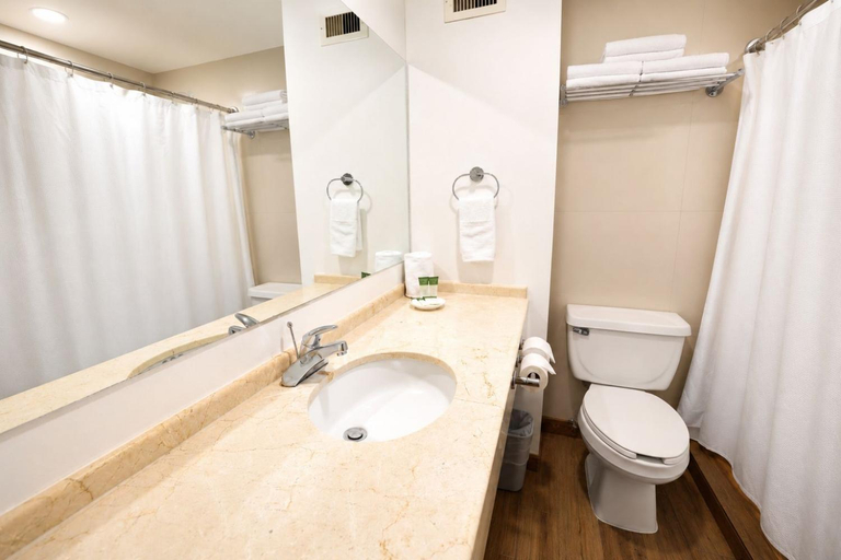 Bathroom 4, Victoria Inn, Victoria
