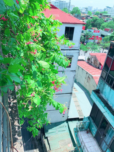 Others 4, May - AMAYZING CITY VIEW, Hai Bà Trưng