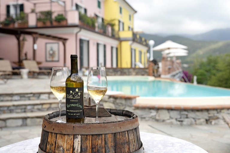 Food & Drinks, Villa Lice - Vigneto, Genova