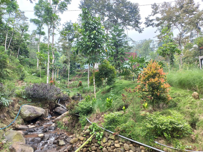 Others 5, Anjasmoro Valley Wonosalam, Jombang