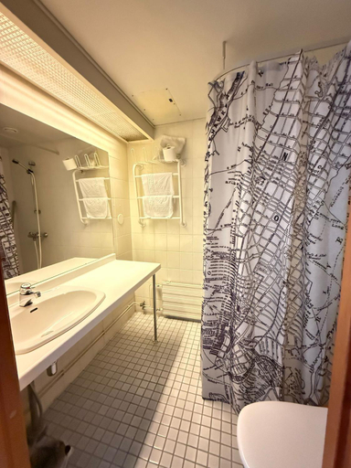 Bathroom, Hotelli Patruuna, South Karelia