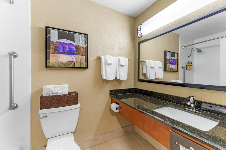 Bathroom 4, Best Western Plus Wooster Hotel & Conference Center, Wayne
