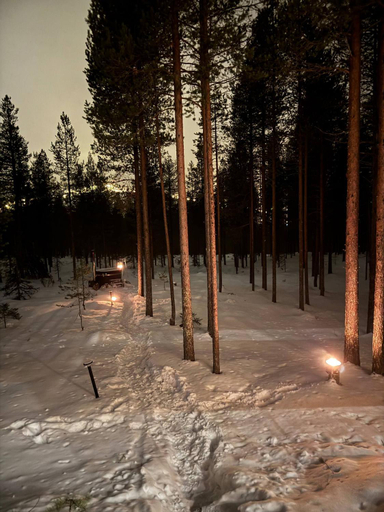 3, Charming Lapland Villa with Mountain Views, Private Sauna and Outdoor hottub, Lapland