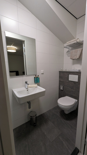Bathroom 5, Antonius Hoeve, Halderberge
