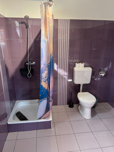 Bathroom 2, Liliom Vendeghaz, Zirc