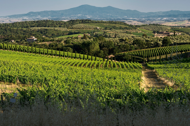 Exterior 5, Romantic Apartment In Chianti Classico, Siena