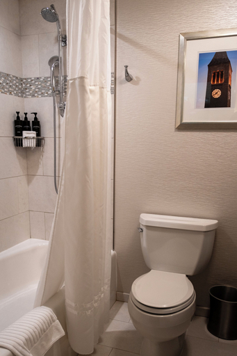 Bathroom 3, The Statler Hotel at Cornell University, Tompkins