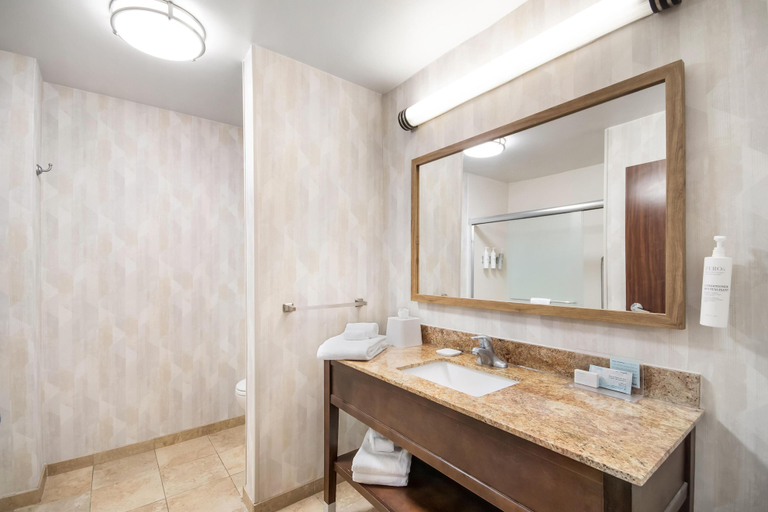 Bathroom 5, Hampton Inn Uvalde, Uvalde