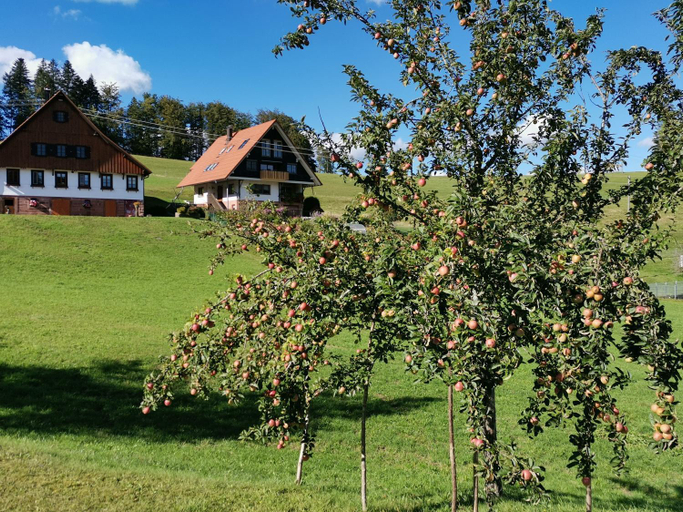 Others 4, Wallemehof, Ortenaukreis