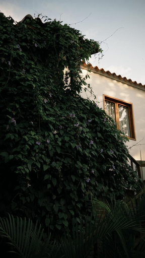 Exterior & Views 2, Hotel Jardin Boutique Rodadero, Santa Marta (Dist. Esp.)