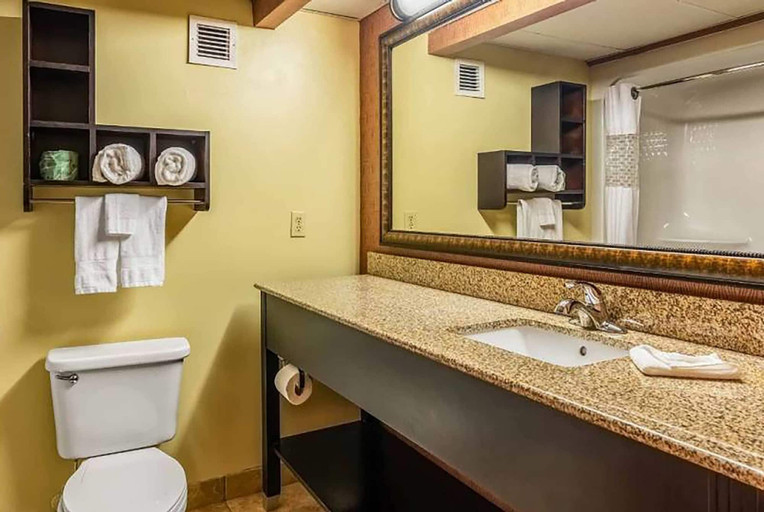 Bathroom 3, Wingate by Wyndham Conway AR, Faulkner