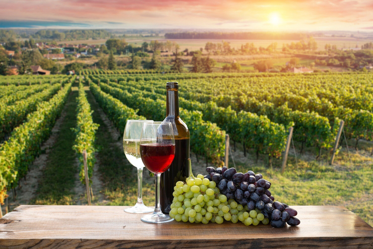Food and drink, Romantic Apartment In Chianti Classico, Siena