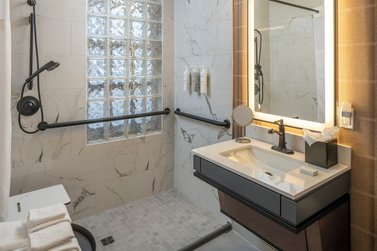 Bathroom 4, Hampton Inn & Suites Birmingham-Downtown-Tutwiler, Jefferson