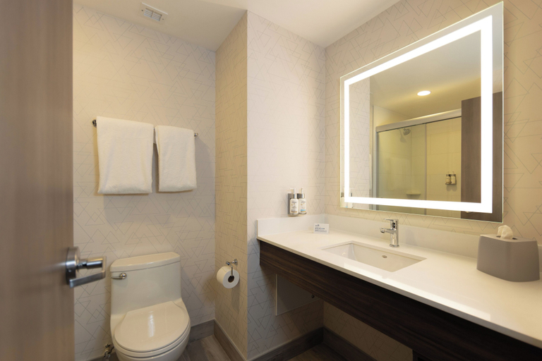 Bathroom 4, Holiday Inn Express & Suites Hotel Mazatlan by IHG, Mazatlán