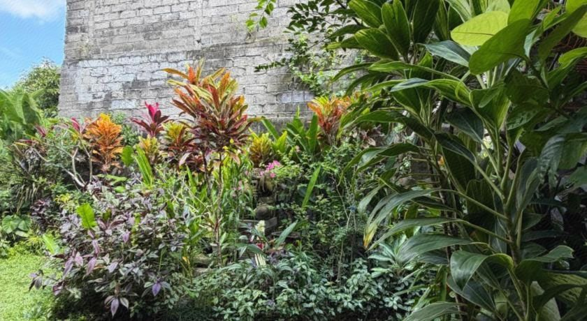 Others 4, Kope House Ubud, Gianyar