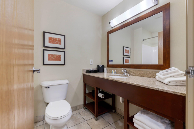 Bathroom 5, Comfort Suites Johnson Creek Conference Center, Jefferson