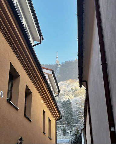 Mountain view 2, StayNATURAL Brasov Center, Brasov
