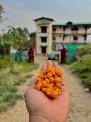 Food & Drinks 3, Lap of Himalayas Resort Kausani, Almora