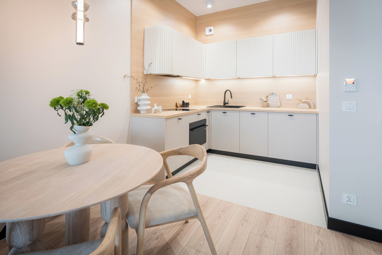 Private kitchen 5, Apartamenty Kapitańska by Elite4Rent, Olsztyn City