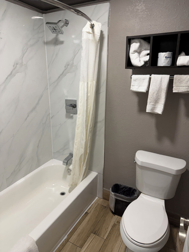Bathroom 3, Palace Suites Fair Park, Dallas