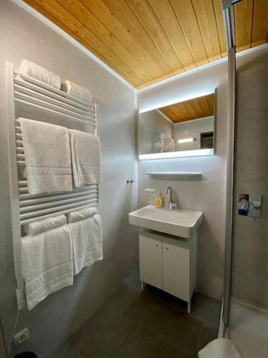Bathroom 3, Haus Tirol Ehrwald, Reutte