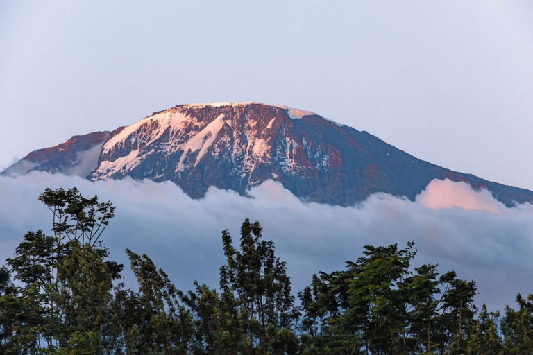 Mountain view 3, Kilimanjaro Luxury Camp, Moshi Rural