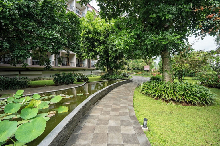 scenery 17