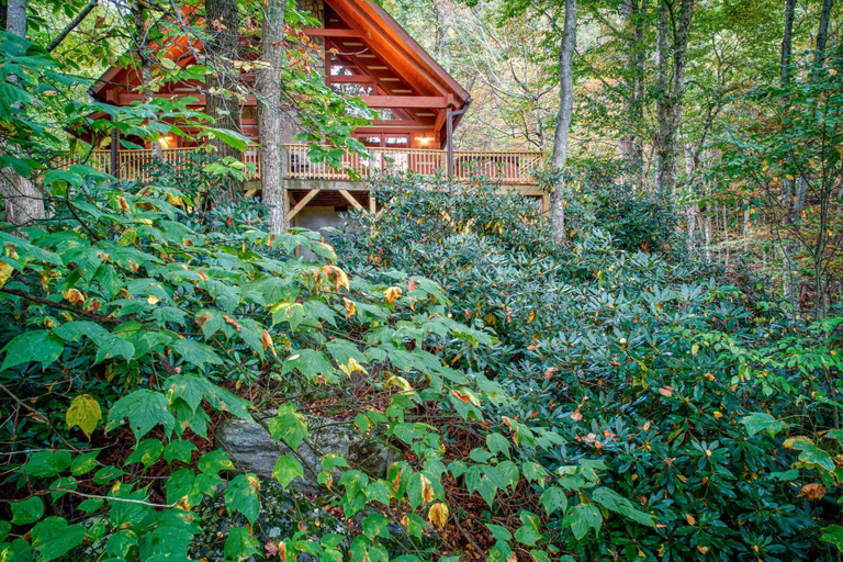 Interior 2, Farallon - Cozy Cabin With hot Tub, Fire Pit, Wood Fireplace, Watauga