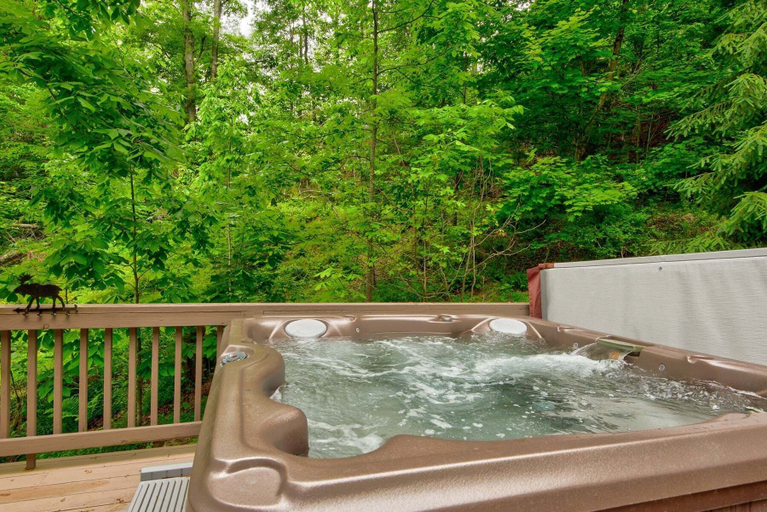 Sport & Beauty, Kaylee's Kabin 2BR log Cabin Located in Valle Crucis, Watauga
