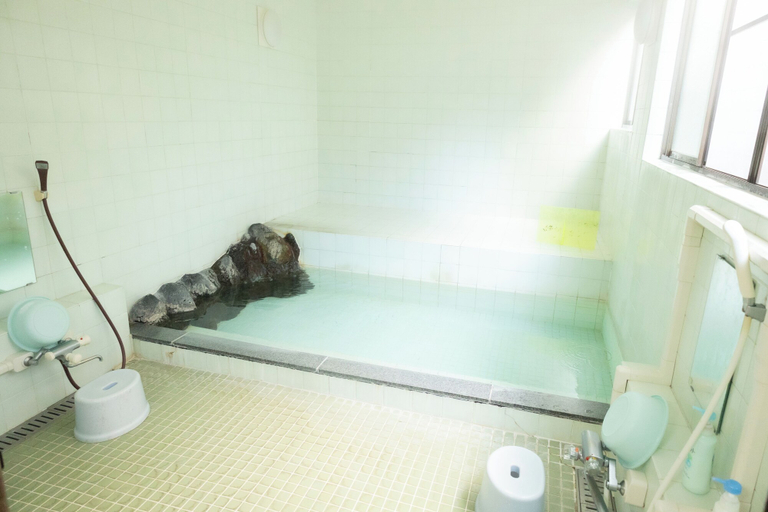 Public bath 2, Joshuya Ryokan, Nikkō