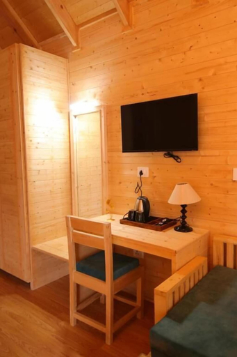 Interior 2, The Auli Meadows, Chamoli