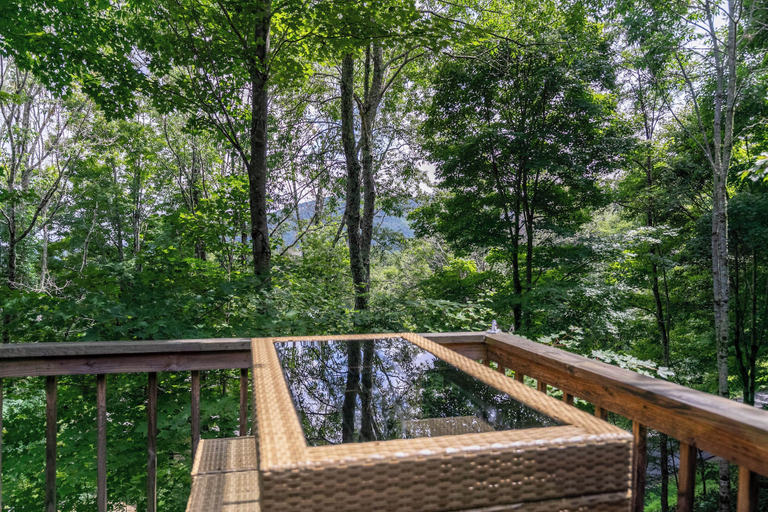 Interior 2, Grand View, Watauga